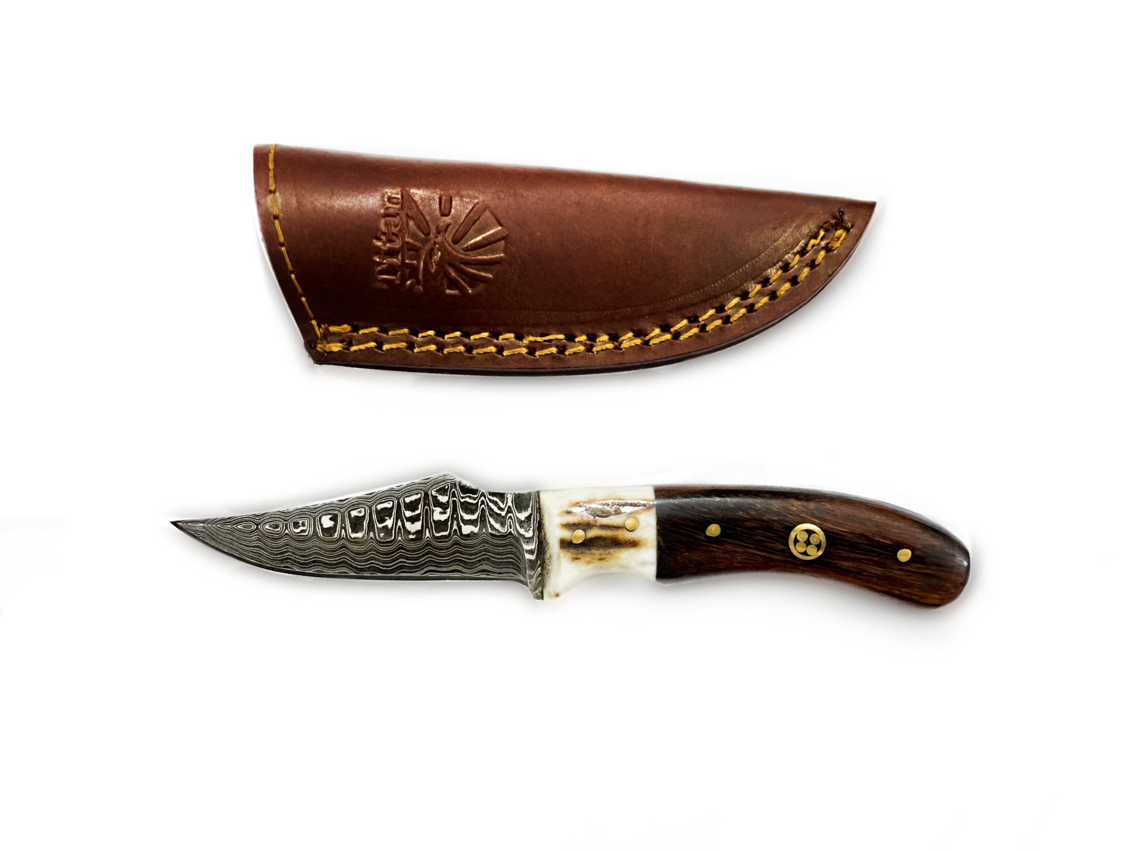 Damascus Steel Skinner Knife, Stag & Walnut Grip by Titan Td
