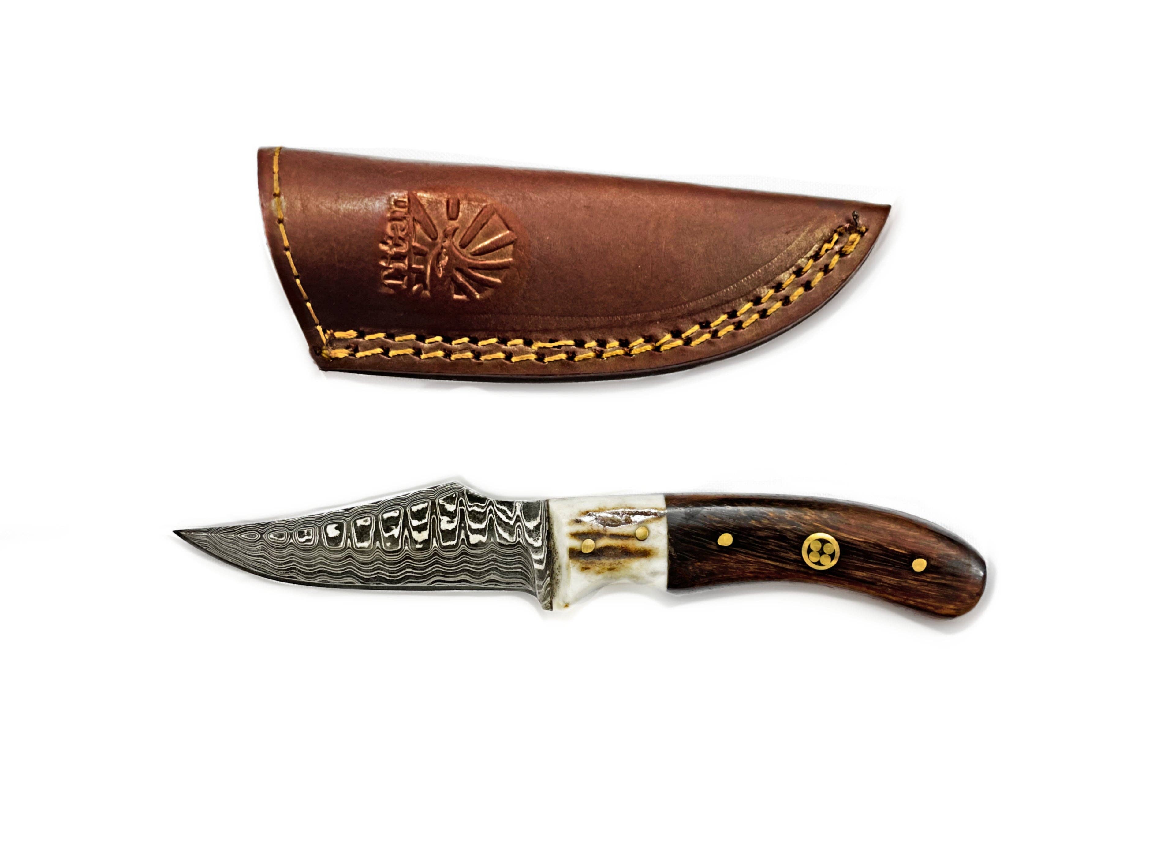Damascus Steel Skinner Knife, Stag & Walnut Grip by Titan Td