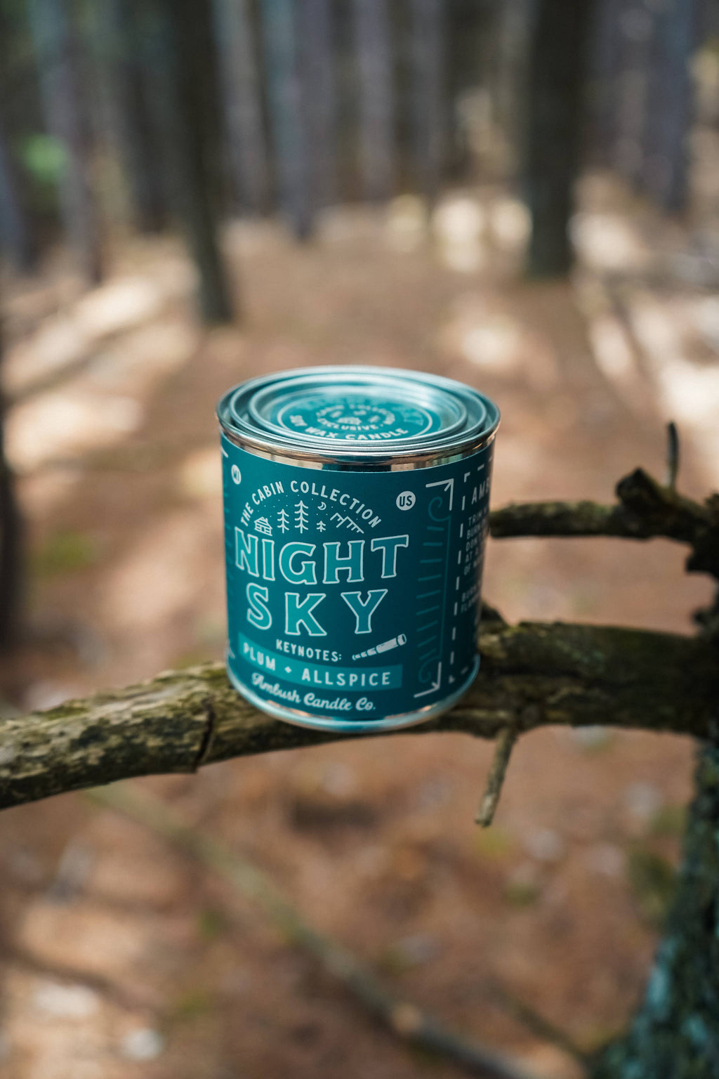 Night Sky | Plum + Allspice 8oz Soy Candle