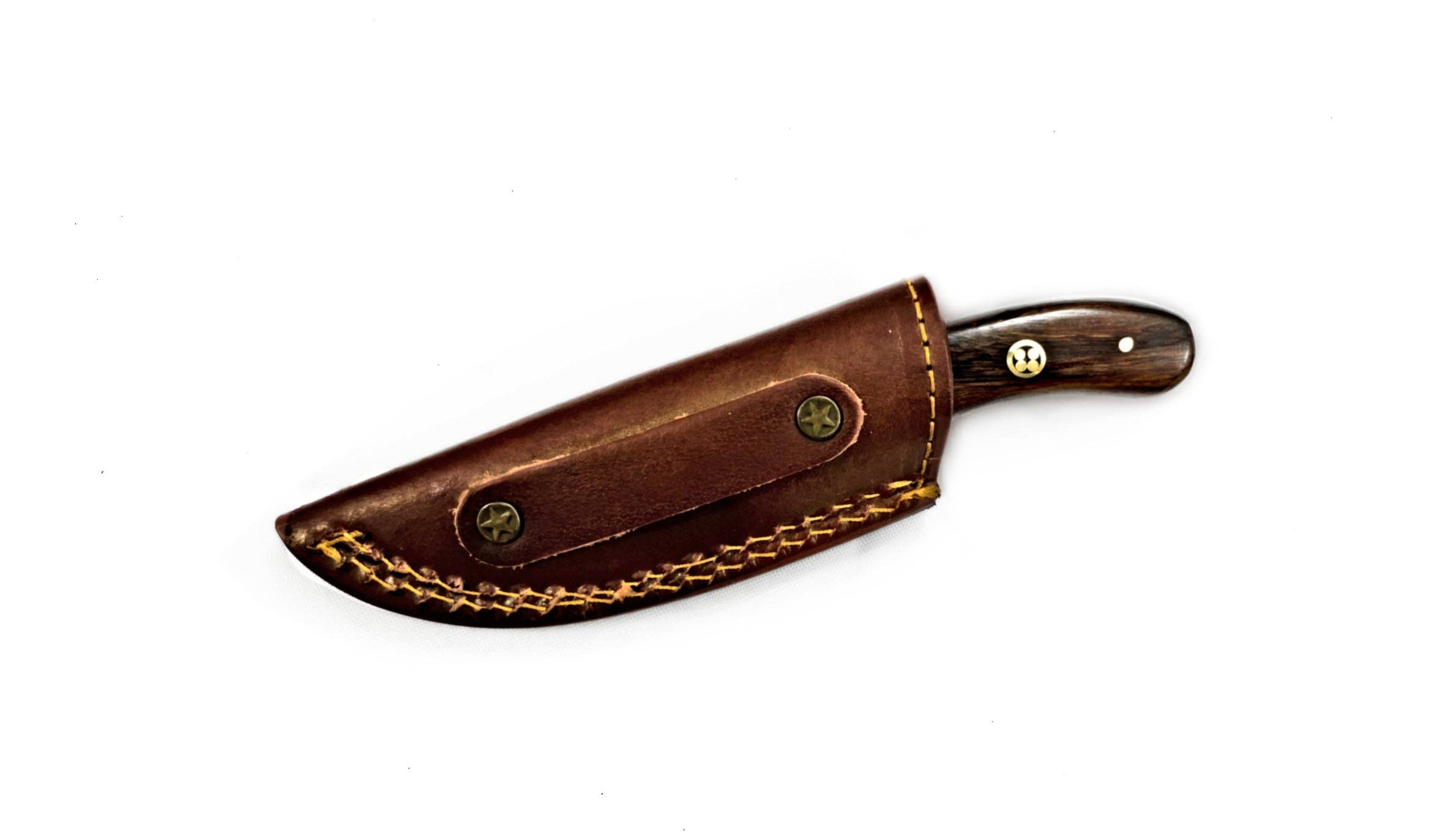 Damascus Steel Skinner Knife, Stag & Walnut Grip by Titan Td
