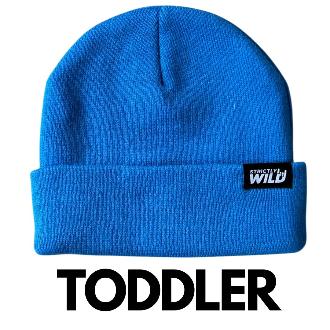 Blue Blitz Beanie