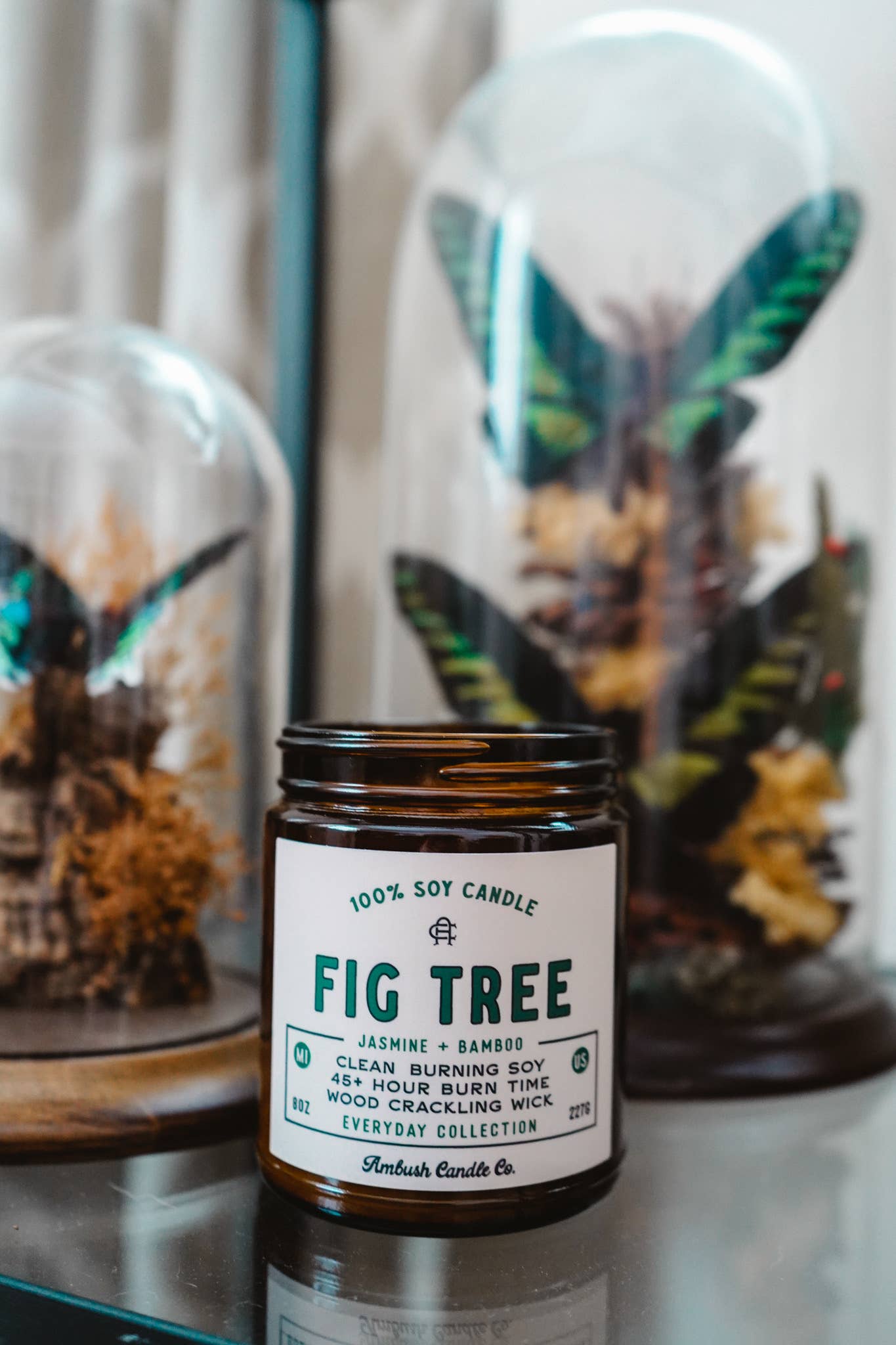 Fig Tree | Jasmine + Bamboo 8oz Soy Candle