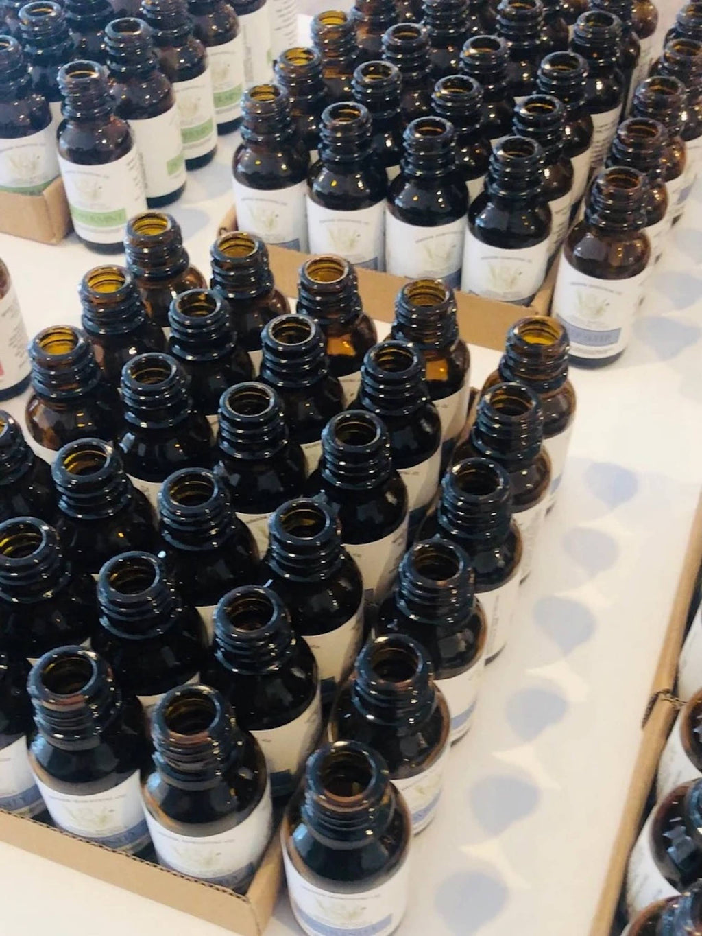 Peppermint Essential Oil 10ml - 100% Pure